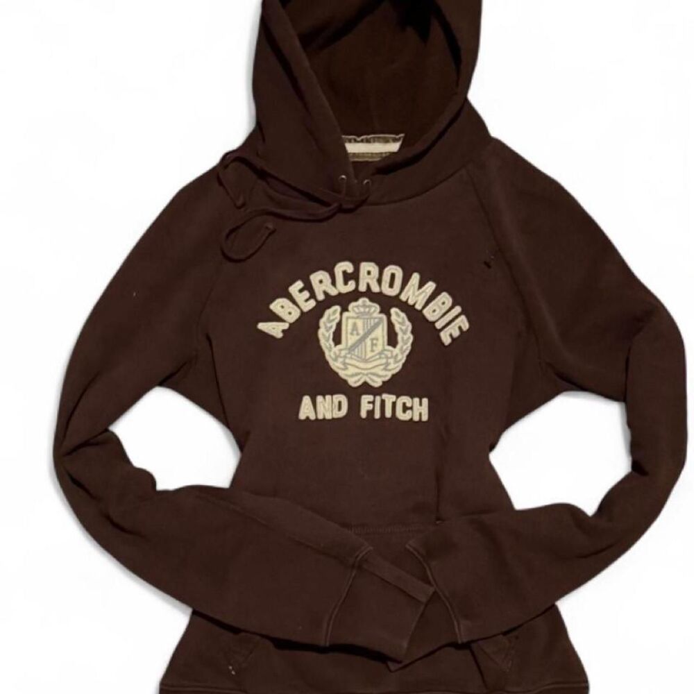 Vintage Y2K Abercrombie & Fitch Brown and Beige Crest Logo Spellout Hoodie